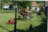 bukkszek_05